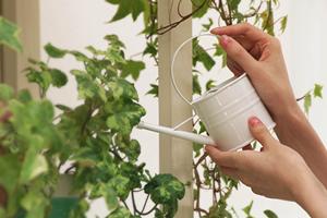 しみ抜き料金が無料になっている業者