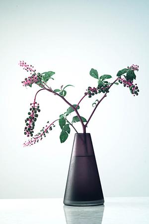 ソファーベッドの種類が豊富な家具店